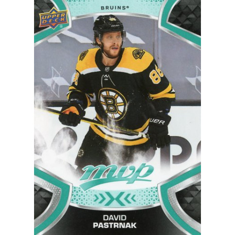 DAVID PASTRNAK řadová 21-22 UD MVP