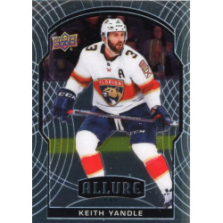 KEITH YANDLE  řadová 20-21 Allure