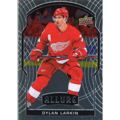 DYLAN LARKIN  řadová 20-21 Allure